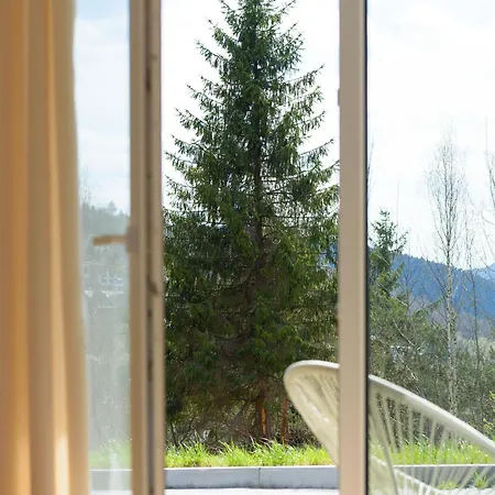 небокрай Apartment Skhidnytsia
